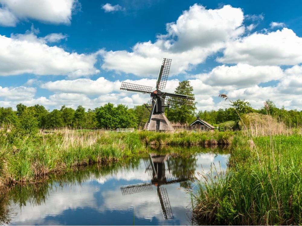 Natuur Lodge Blesdijke Exteriér fotografie